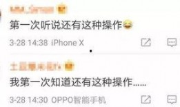 今日深圳网友爆料最新,最新网红打卡地，神秘景点引热议！