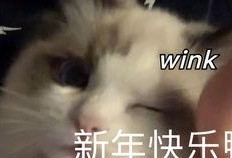 猫之城最新爆料视频大全,最新爆料视频大盘点